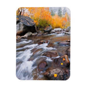 Höst längs Bishop Creek, CA Magnet