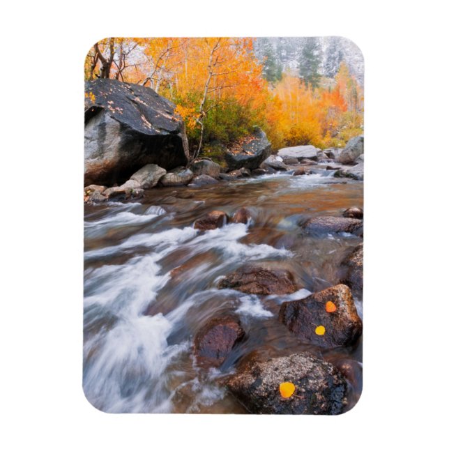 Höst längs Bishop Creek, CA Magnet (Vertikal)