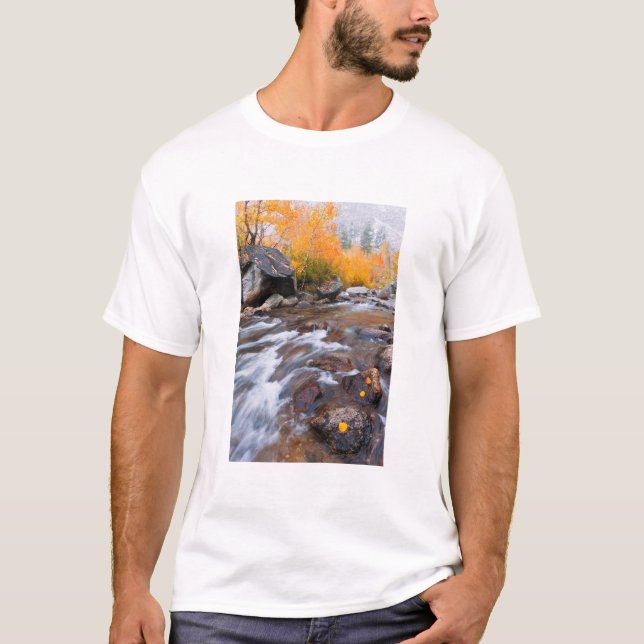 Höst längs Bishop Creek, CA T Shirt (Framsida)