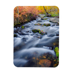 Höst längs Lundy Creek, Kalifornien Magnet