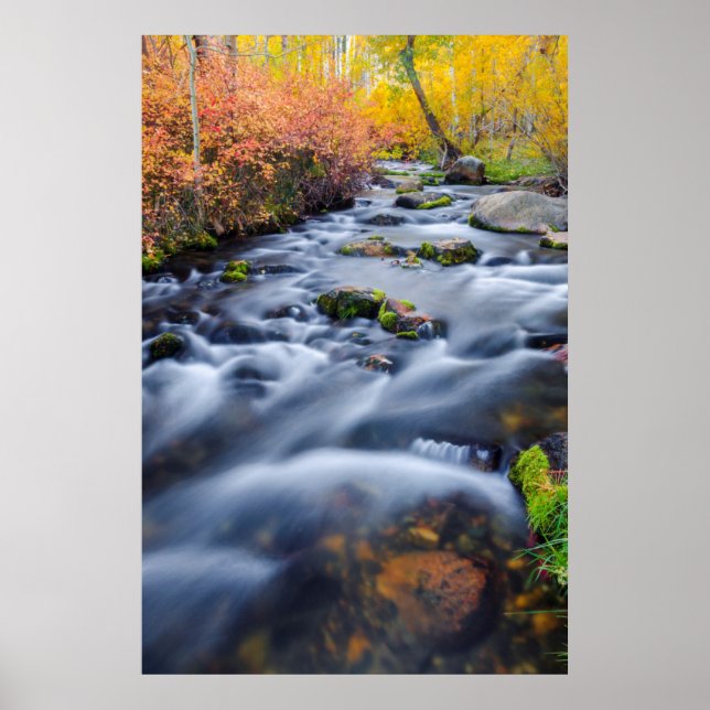 Höst längs Lundy Creek, Kalifornien Poster (Framsidan)