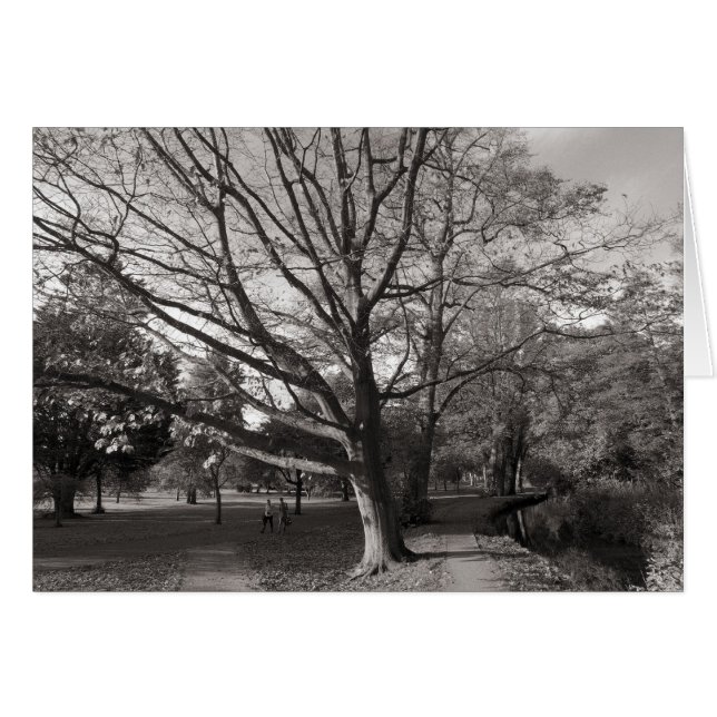 Höst liggande, Bute Park, Cardiff Hälsningskort (Framsidan Horizontal)