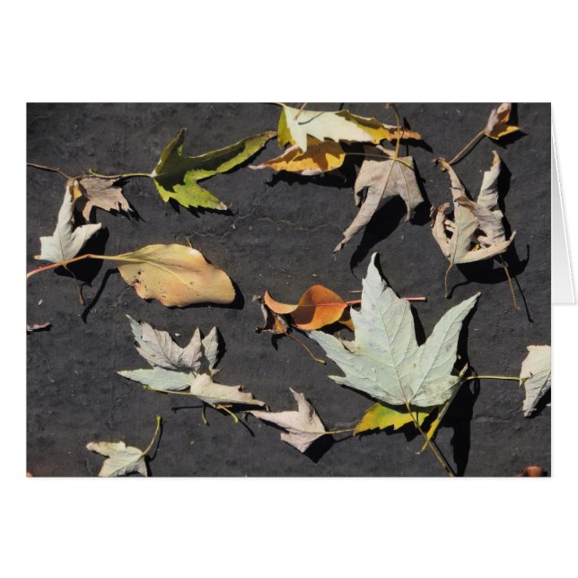 Höst löv 1 hälsningskort (Framsidan Horizontal)