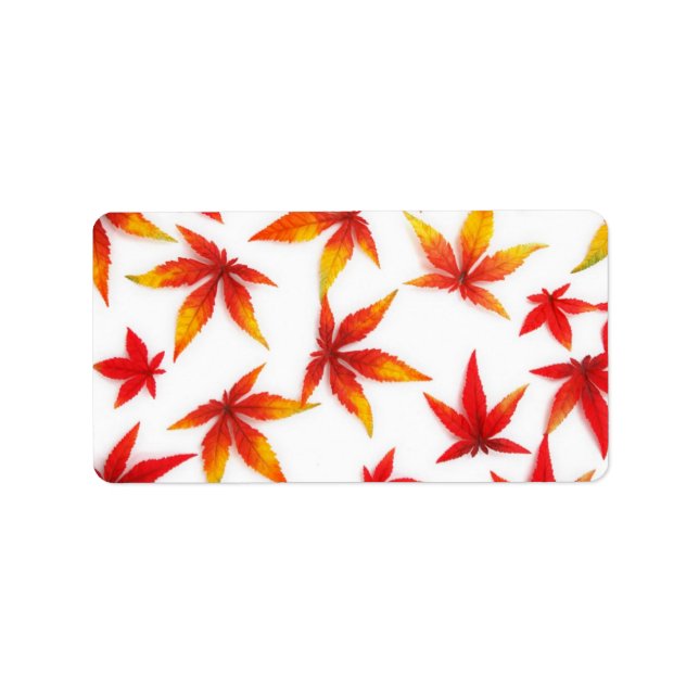 Höst löv-adressetikett adressetikett (Framsidan)