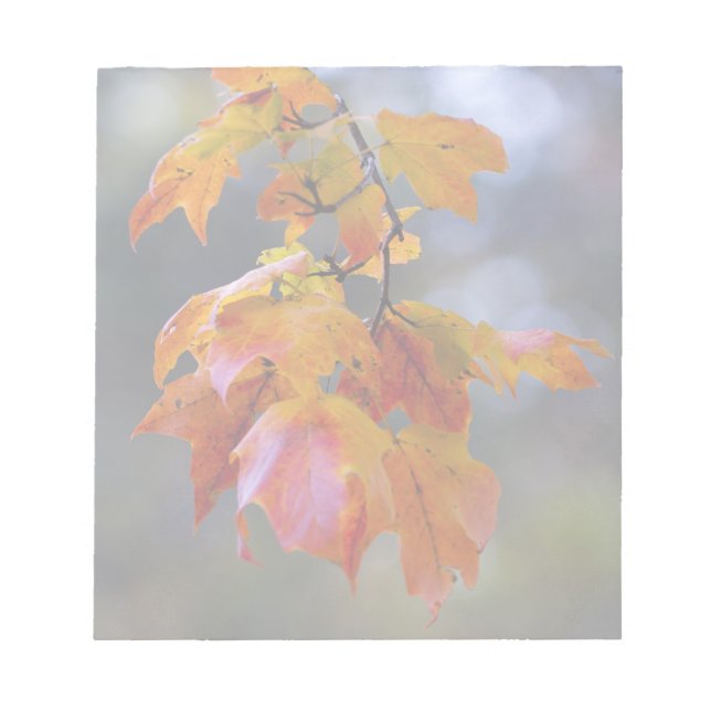 Höst löv anteckningsblock (Framsida)