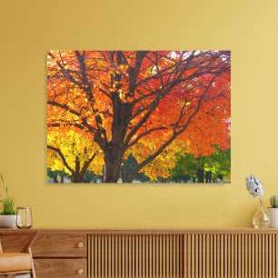 Höst löv av Gult och Orange Photo Canvastryck