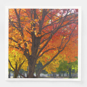 Höst löv av Gult och Orange Photo Pappersservett