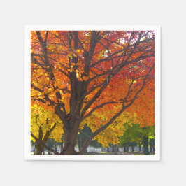 Höst löv av Gult och Orange Photo Pappersservett