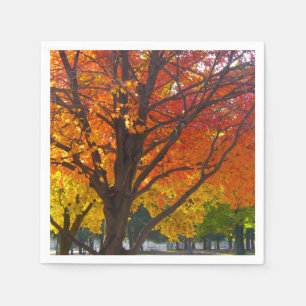 Höst löv av Gult och Orange Photo Pappersservett