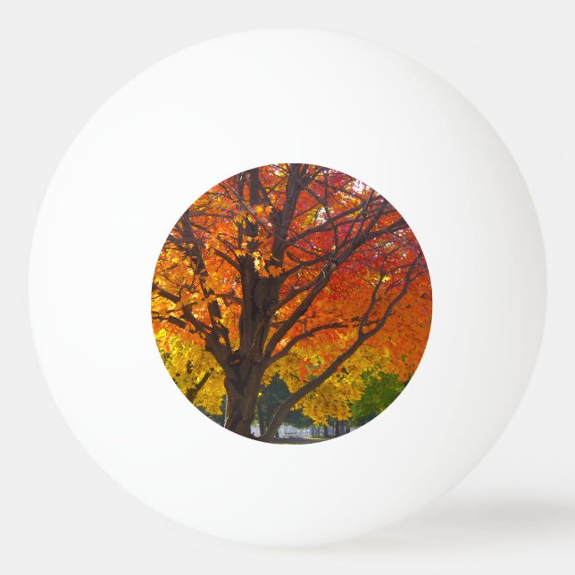 Höst löv av Gult och Orange Photo Pingisboll (Framsidan)