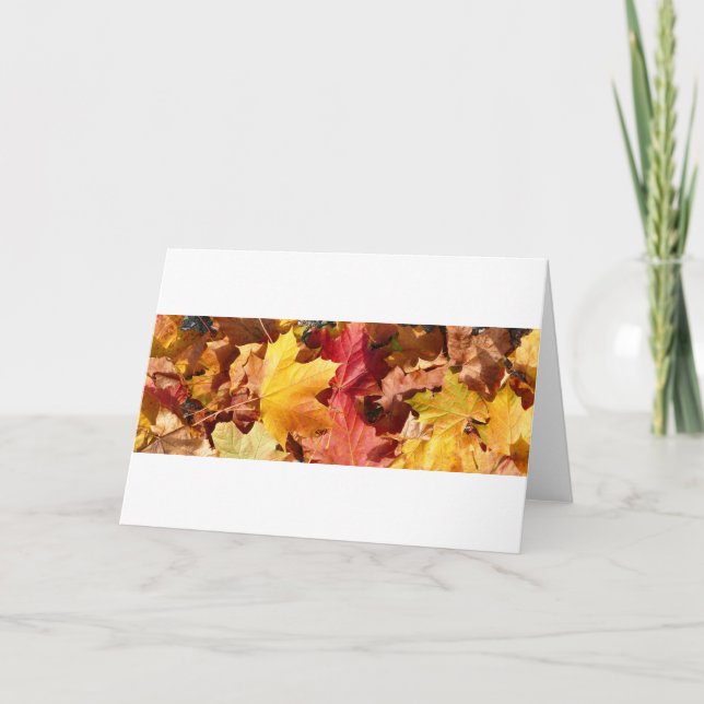 Höst löv - bedövning! helgkort (Framsida)
