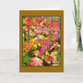 "Höst löv Blank Greeting Card Kort