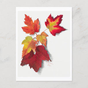 Höst löv Botaniska illustration Vykort