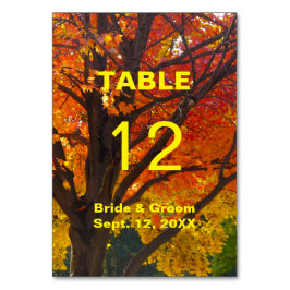 Höst löv Bröllop Bord-kort Bordsnummer