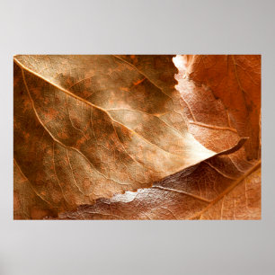 Höst löv closeupabstrakt,höst,bakgrund,br poster