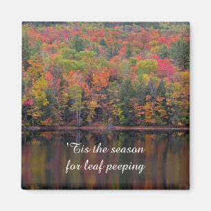 Höst löv Fall Färg Scene Magnet