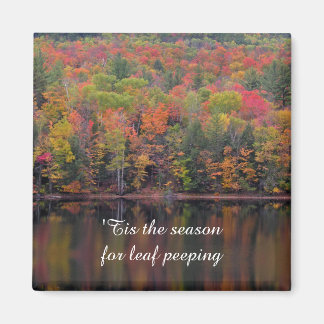 Höst löv Fall Färg Scene Magnet