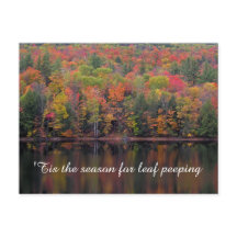 Höst löv Fall Färg Scene-vykort