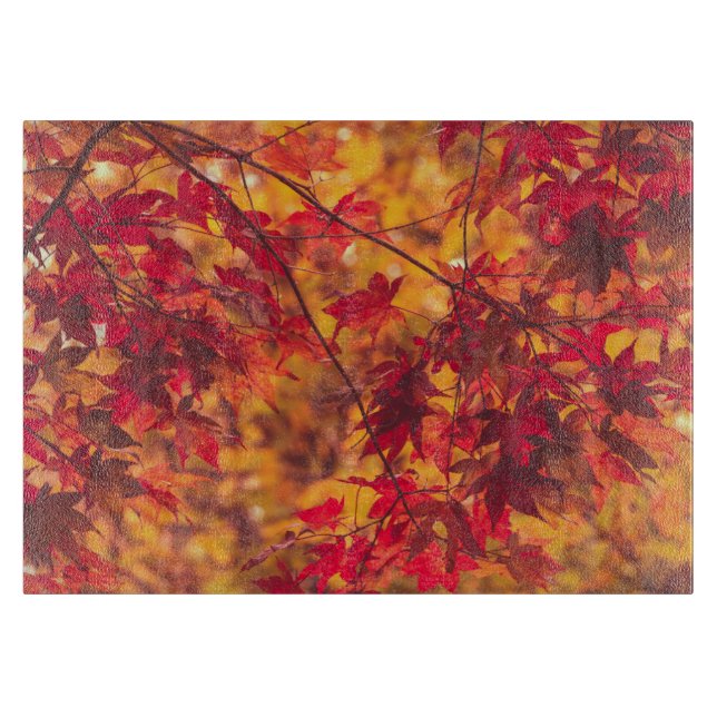 Höst löv: Fall Foliage Nature (Framsidan)