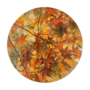 Höst löv: Fall Foliage Nature
