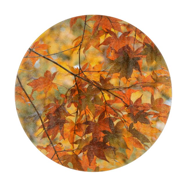 Höst löv: Fall Foliage Nature (Framsidan)