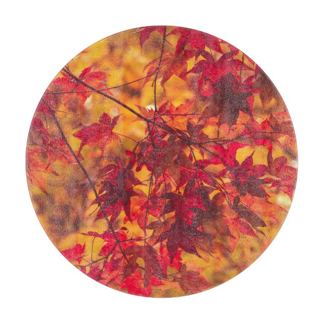 Höst löv Fall Foliage Red Nature (Framsidan)