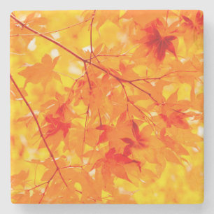Höst löv Fall Nature Orange Stenunderlägg