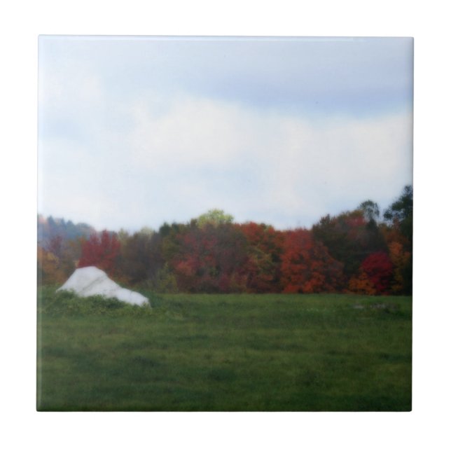 Höst löv Fält naturart Art Tile Kakelplatta (Framsidan)