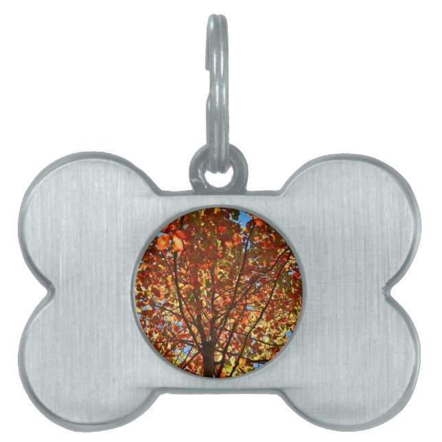 Höst löv Fireworks ID-bricka Husdjur (Framsidan)