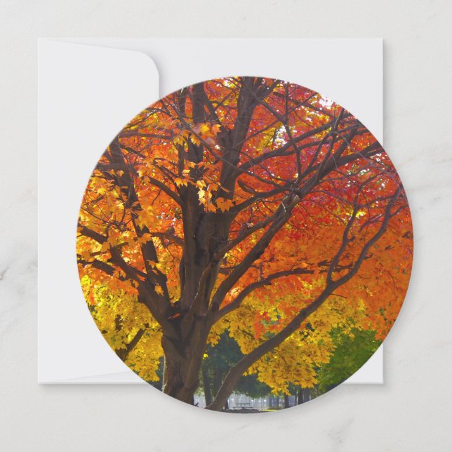 Höst löv för Gult och Orange Inbjudningar (Framsida)