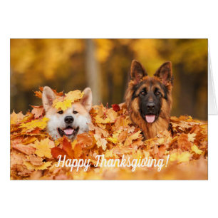 Höst löv- & för hundar thanksgivingkort hälsningskort