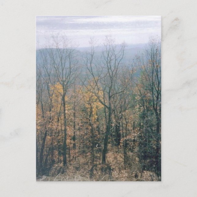 Höst löv-Georgien Vykort (Framsida)