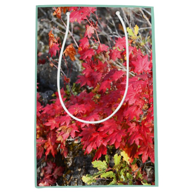 Höst löv Gift Bag (Framsidan)