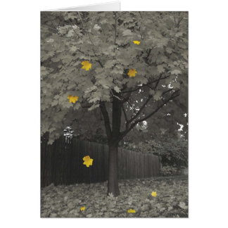 Höst löv hälsningskort