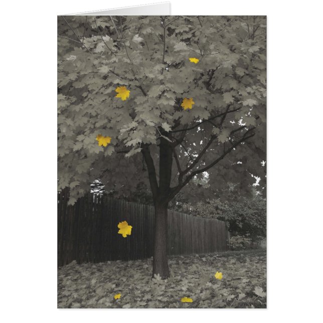 Höst löv hälsningskort (Framsidan)