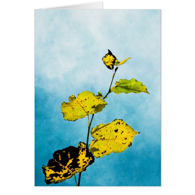 Höst löv hälsningskort (Framsidan)