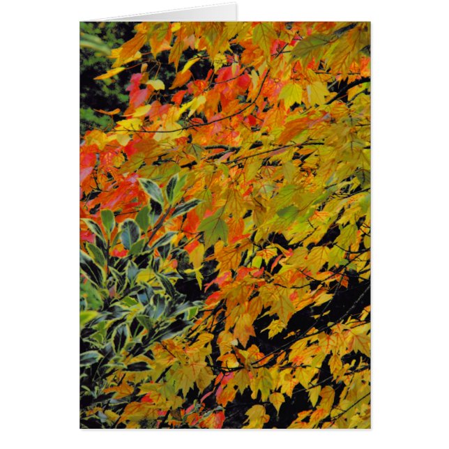 Höst löv hälsningskort (Framsidan)