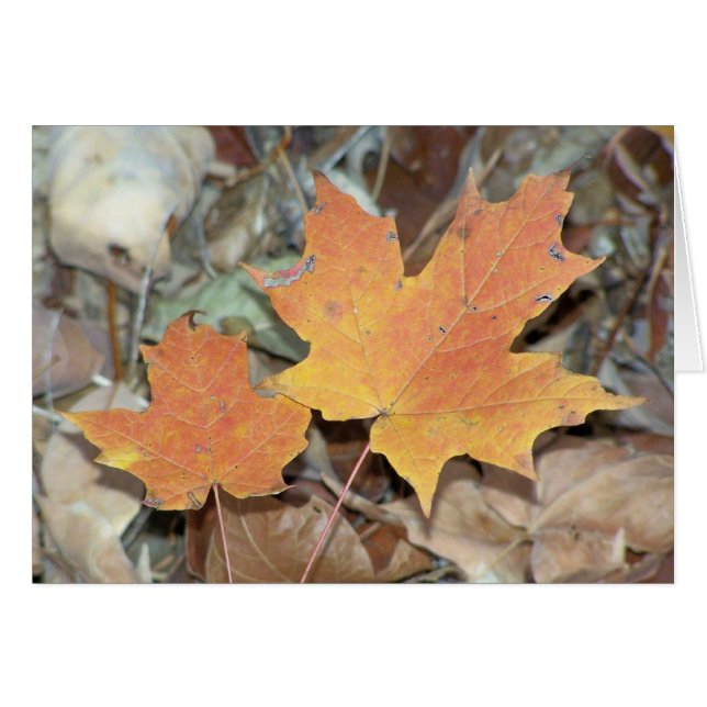 Höst löv hälsningskort (Framsidan Horizontal)