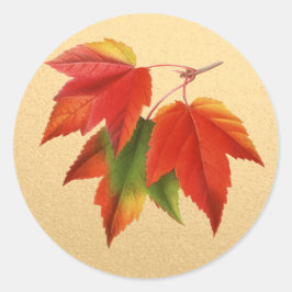 Höst löv Höst färger Maple Löv vid Guld Runt Klistermärke