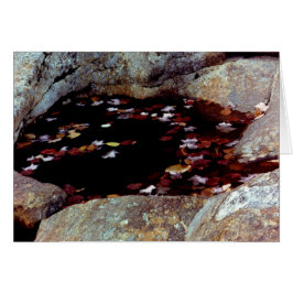 Höst löv i ett Bassäng-kort Hälsningskort