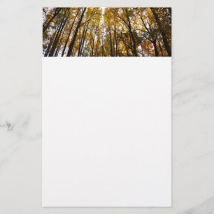 Höst löv i morgon Maryland Natature Brevpapper