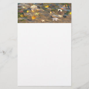 Höst löv i naturfotografi av Pond Vatten Brevpapper