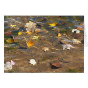 Höst löv i naturfotografi av Pond Vatten Hälsningskort