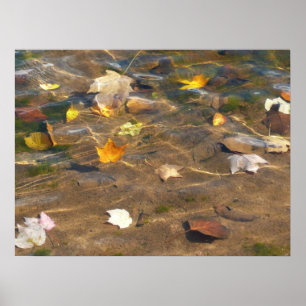 Höst löv i naturfotografi av Pond Vatten Poster