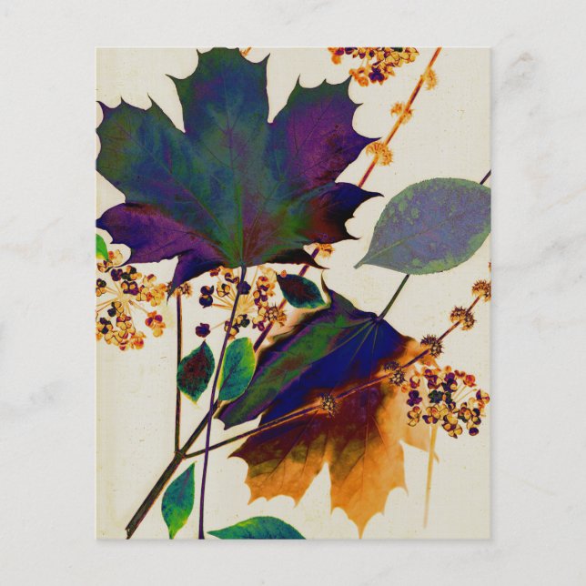 HÖST LÖV i ROYALET FÄRG Flygblad (Framsidan)