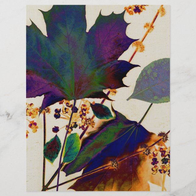 HÖST LÖV i ROYALET FÄRG Reklamblad (Framsidan)