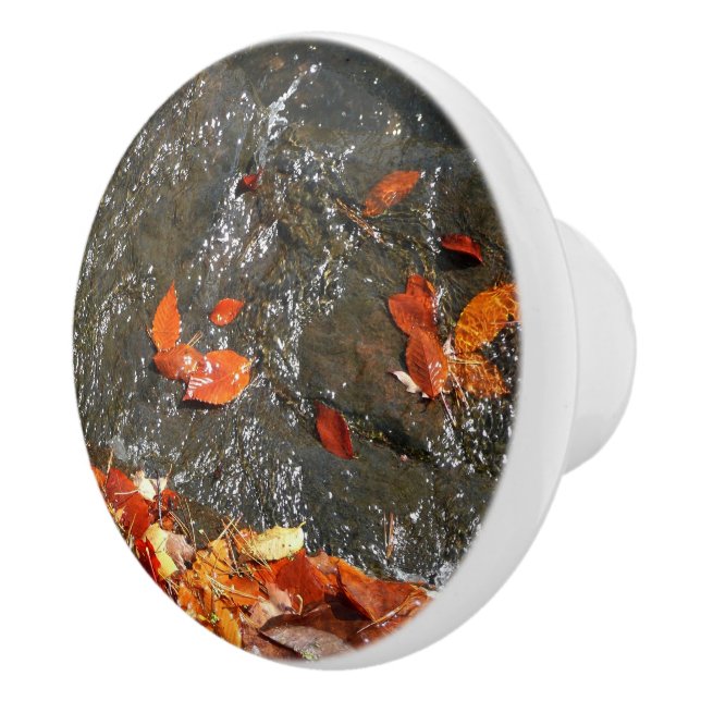 Höst löv i vattenfall I höstfoto Knopp (Höger)