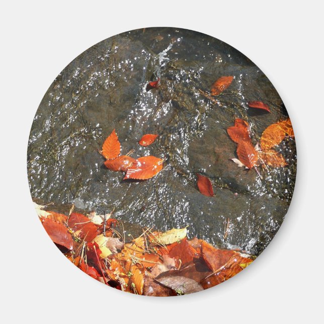 Höst löv i vattenfall I höstfoto Magnet (Framsidan)