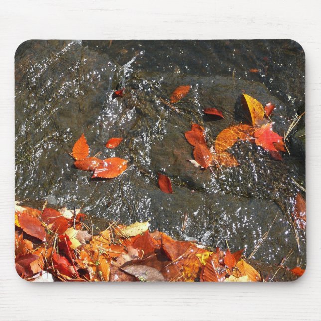 Höst löv i vattenfall I höstfoto Musmatta (Framsidan)