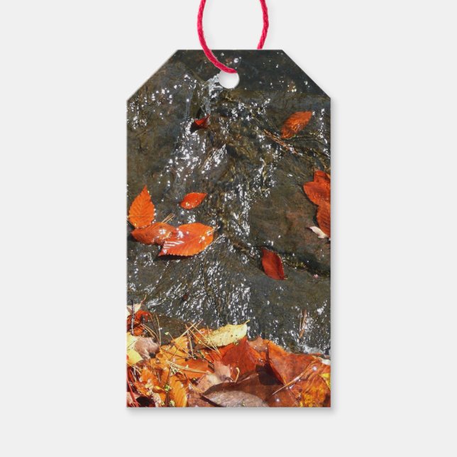 Höst löv i vattenfall I höstfoto Presentetikett (Framsidan)
